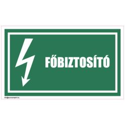Főbiztosító
